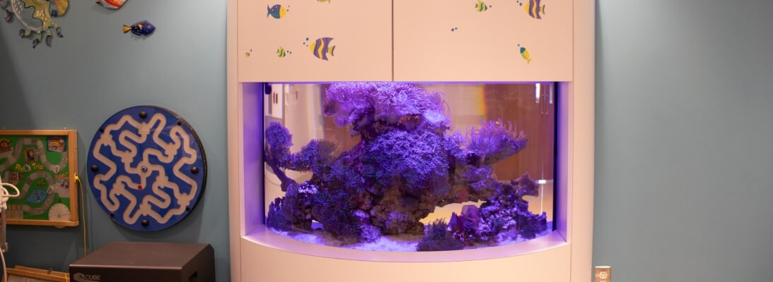 fish tank