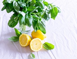 Basil and lemon make up this Plant-Powered Pesto recipe