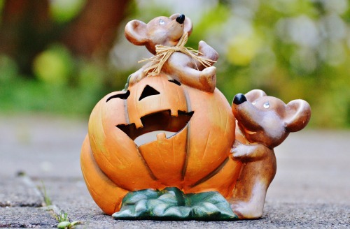 halloween pumpkin