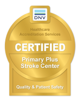 dnv logo